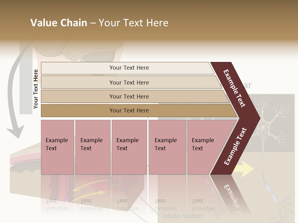 Healthcare Matter Mater PowerPoint Template