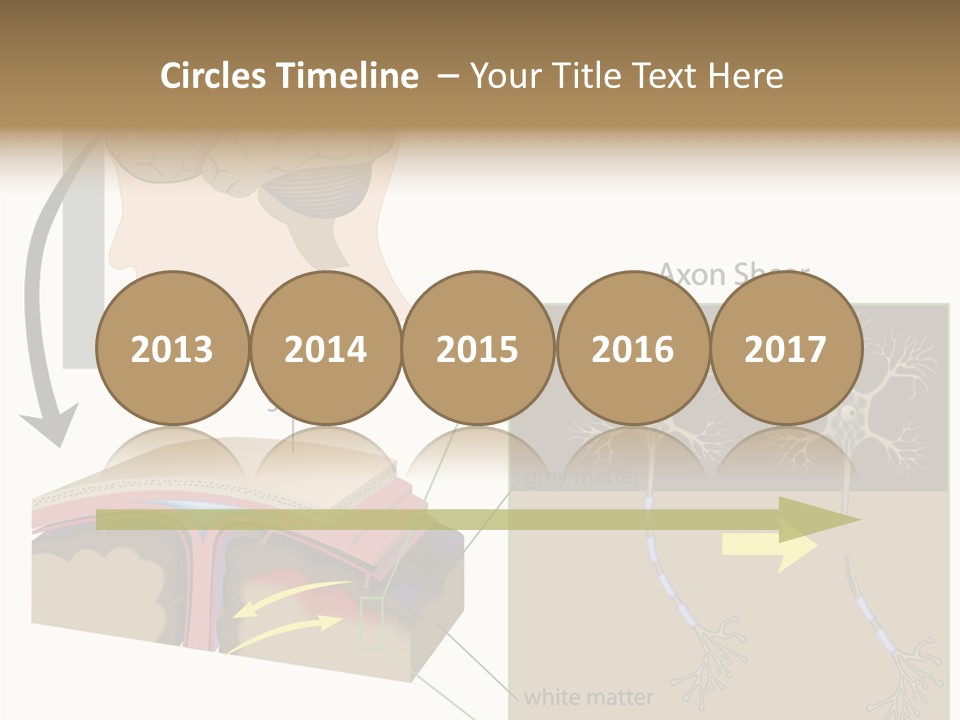 Healthcare Matter Mater PowerPoint Template