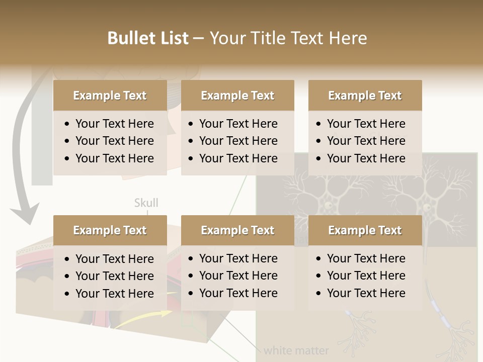 Healthcare Matter Mater PowerPoint Template