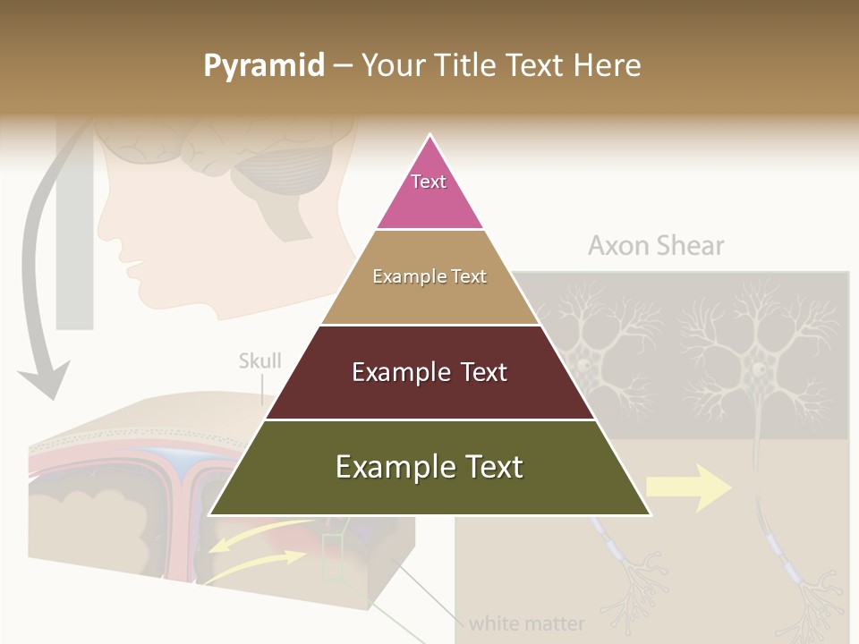 Healthcare Matter Mater PowerPoint Template