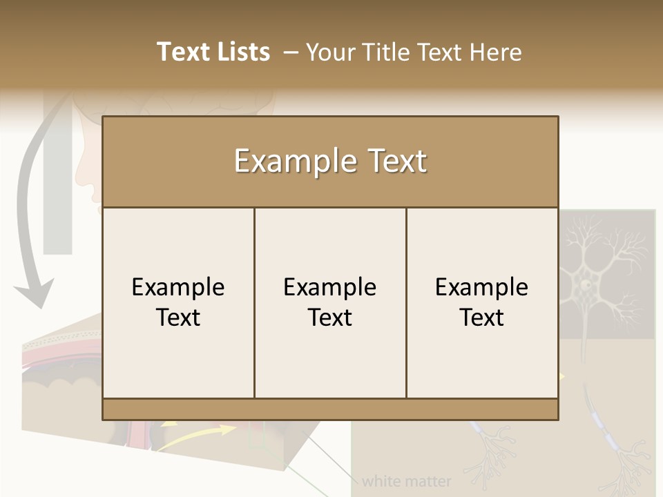Healthcare Matter Mater PowerPoint Template