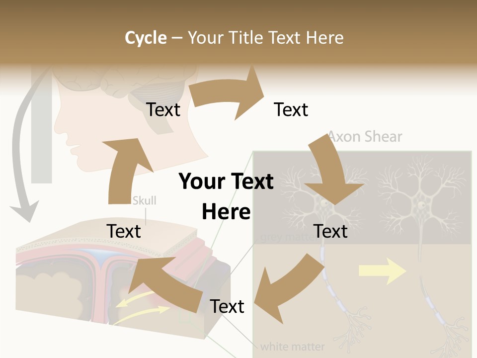 Healthcare Matter Mater PowerPoint Template