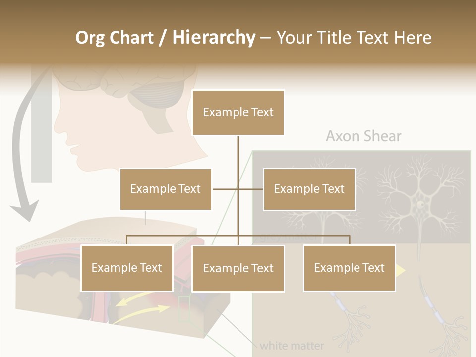 Healthcare Matter Mater PowerPoint Template