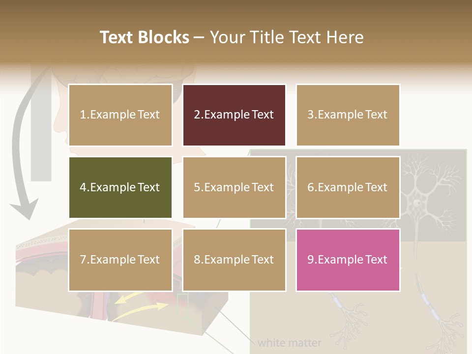 Healthcare Matter Mater PowerPoint Template