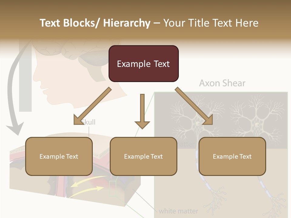 Healthcare Matter Mater PowerPoint Template