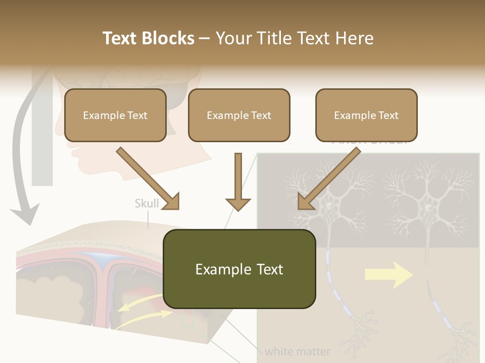 Healthcare Matter Mater PowerPoint Template