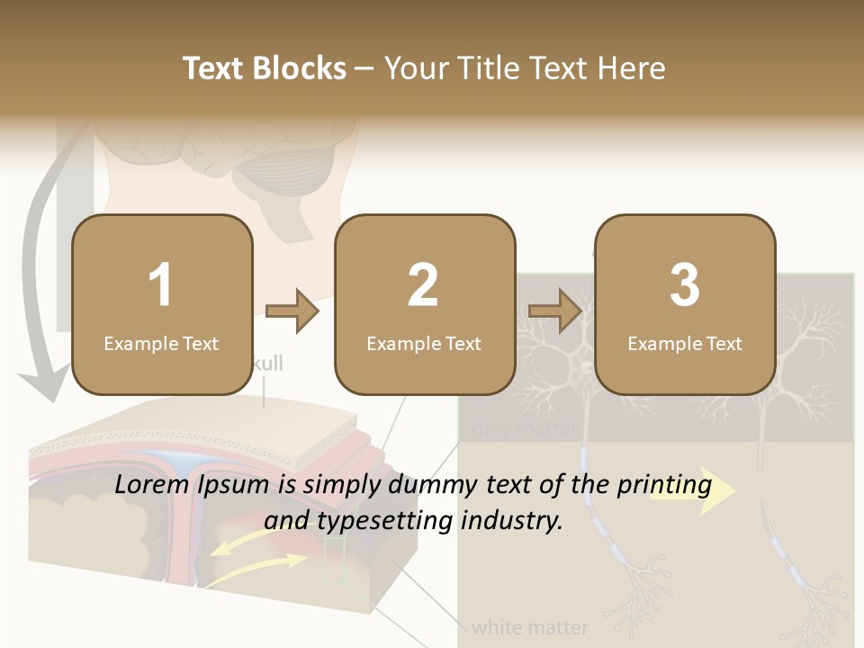 Healthcare Matter Mater PowerPoint Template