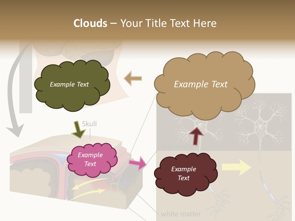 Healthcare Matter Mater PowerPoint Template