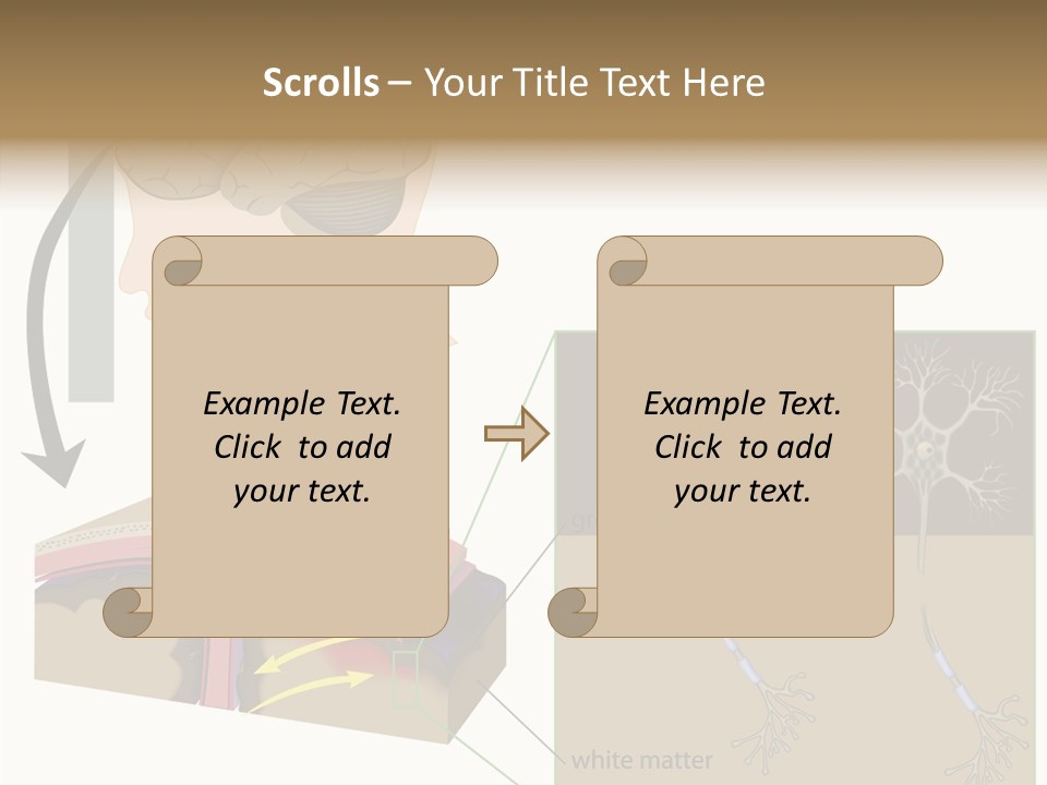 Healthcare Matter Mater PowerPoint Template