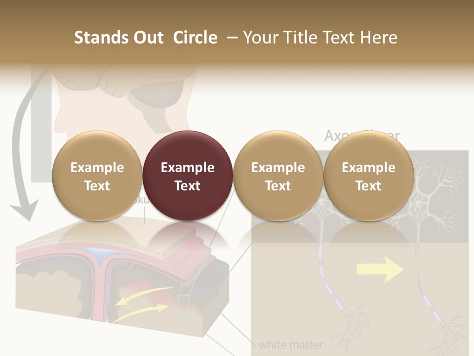 Healthcare Matter Mater PowerPoint Template