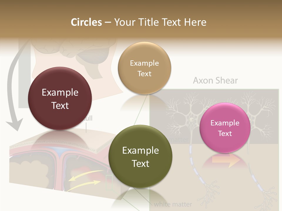 Healthcare Matter Mater PowerPoint Template