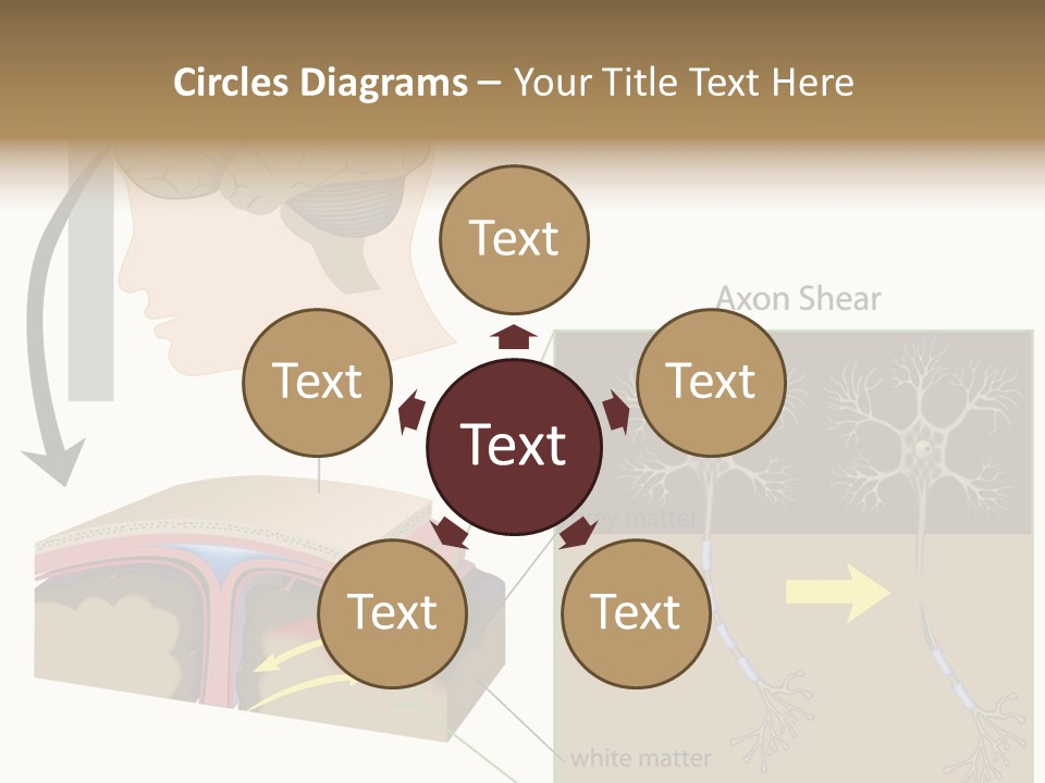 Healthcare Matter Mater PowerPoint Template