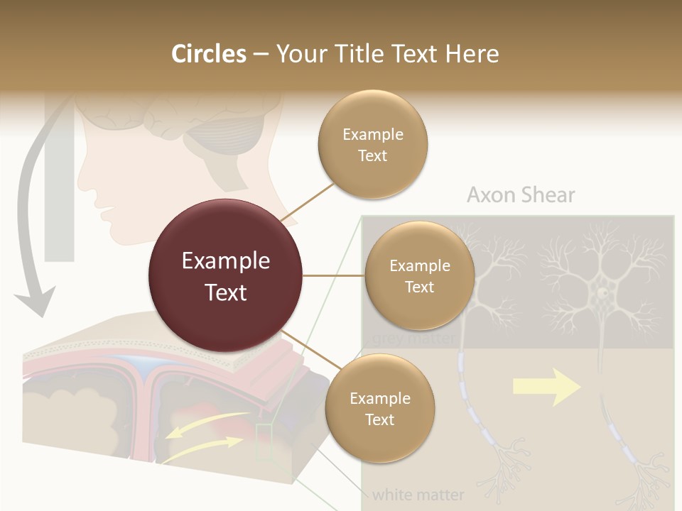 Healthcare Matter Mater PowerPoint Template