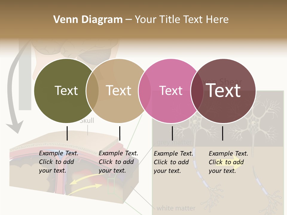 Healthcare Matter Mater PowerPoint Template