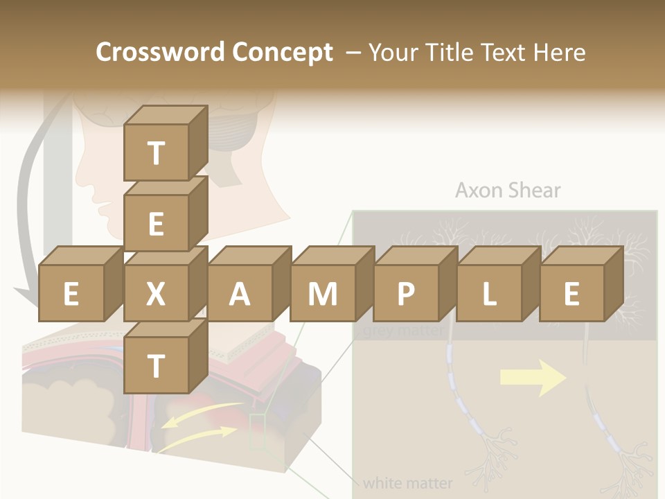 Healthcare Matter Mater PowerPoint Template