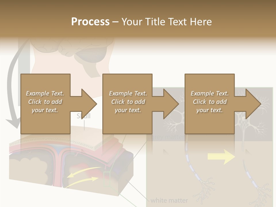 Healthcare Matter Mater PowerPoint Template