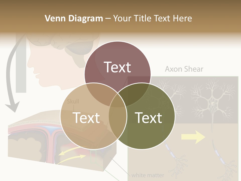 Healthcare Matter Mater PowerPoint Template