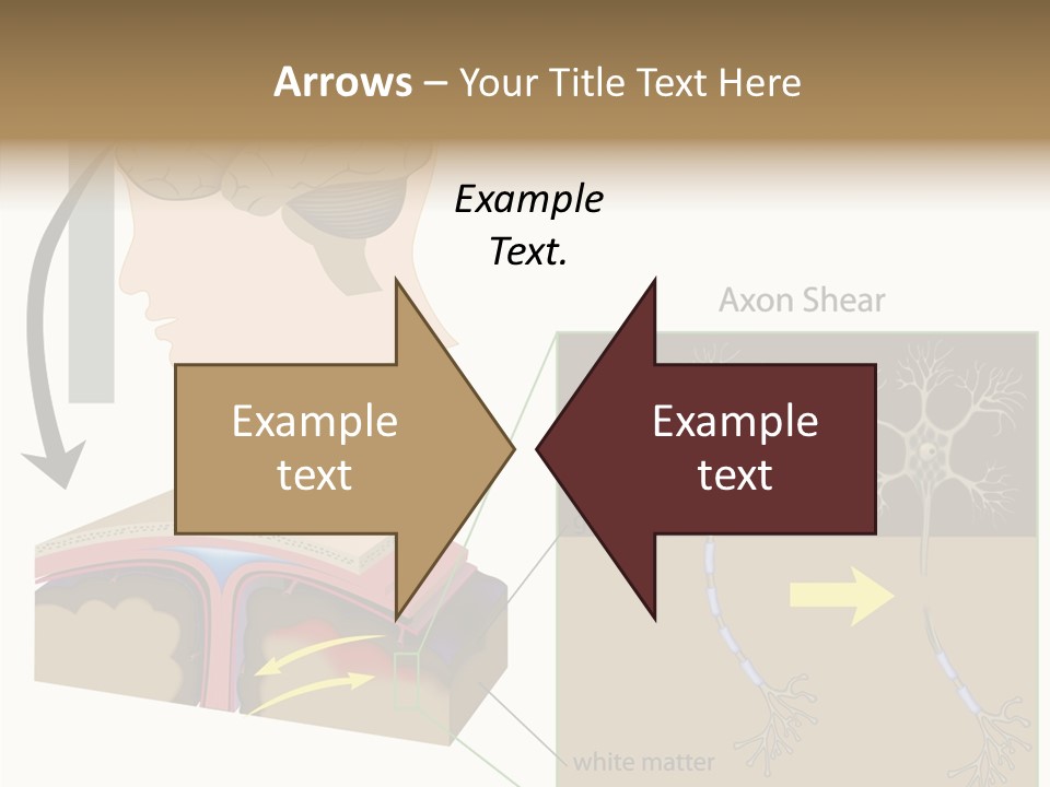 Healthcare Matter Mater PowerPoint Template