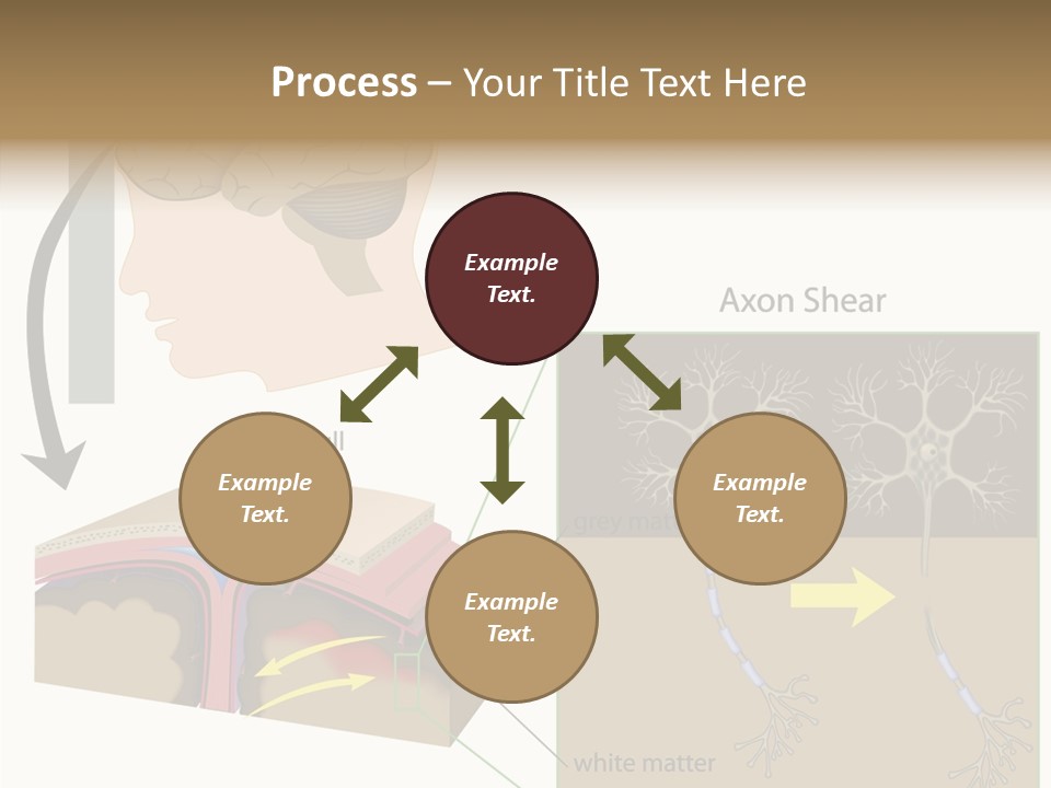 Healthcare Matter Mater PowerPoint Template