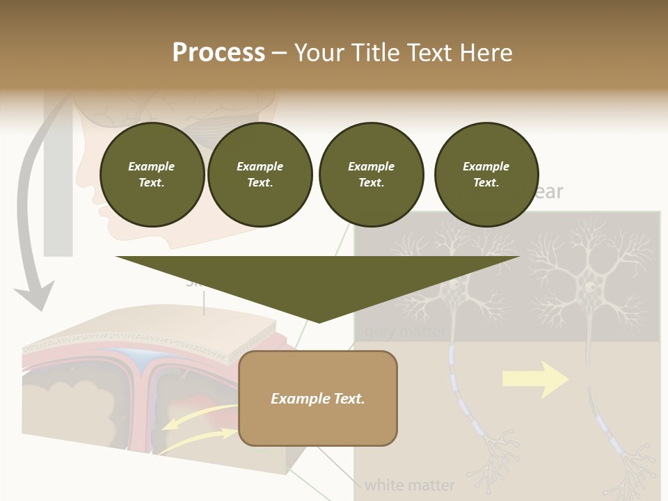 Healthcare Matter Mater PowerPoint Template