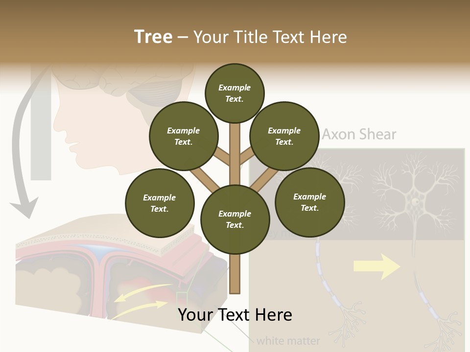 Healthcare Matter Mater PowerPoint Template