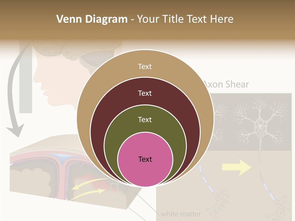 Healthcare Matter Mater PowerPoint Template