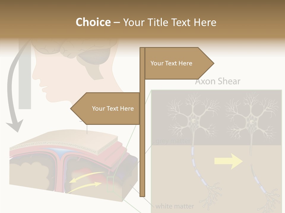 Healthcare Matter Mater PowerPoint Template