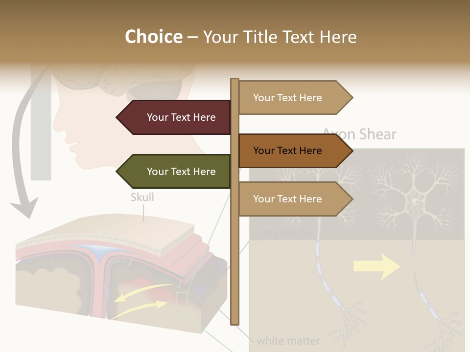 Healthcare Matter Mater PowerPoint Template