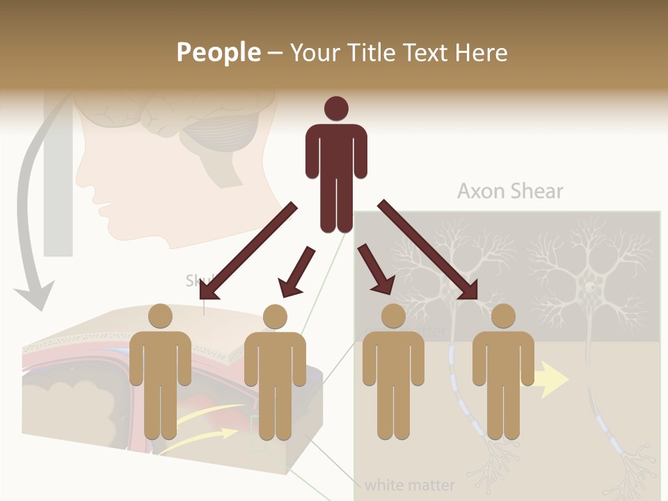 Healthcare Matter Mater PowerPoint Template