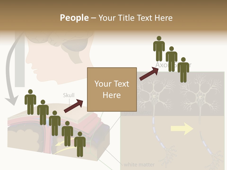 Healthcare Matter Mater PowerPoint Template