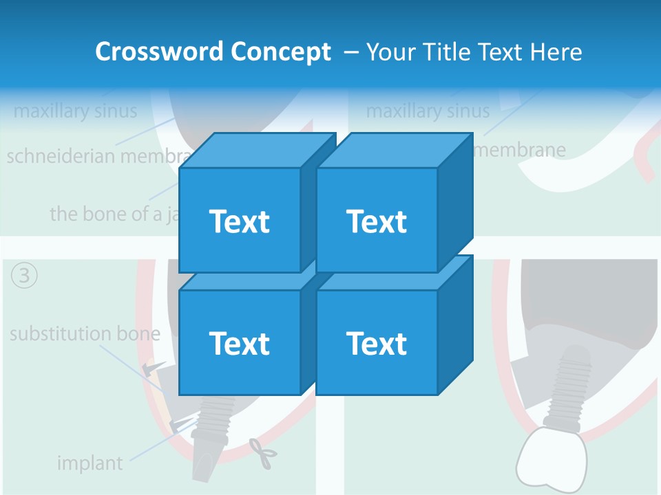 White Dentures Gingiva PowerPoint Template