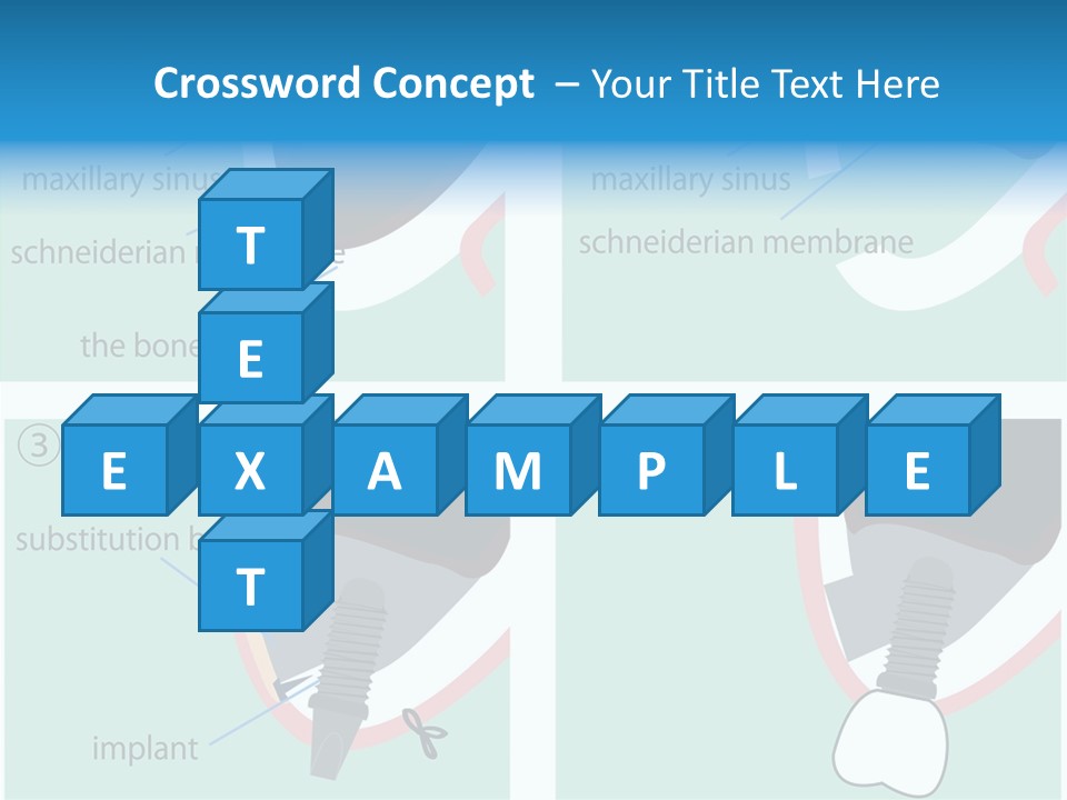 White Dentures Gingiva PowerPoint Template