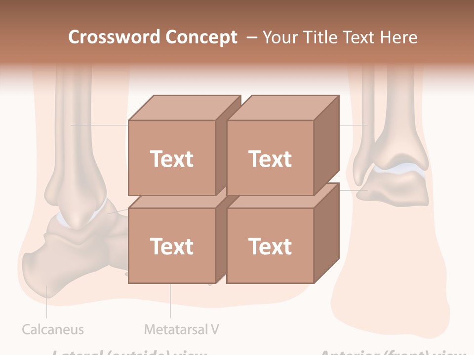 Healthy Anatomical Articular PowerPoint Template