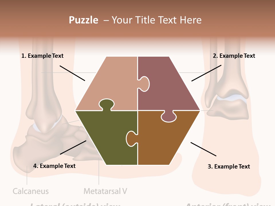 Healthy Anatomical Articular PowerPoint Template