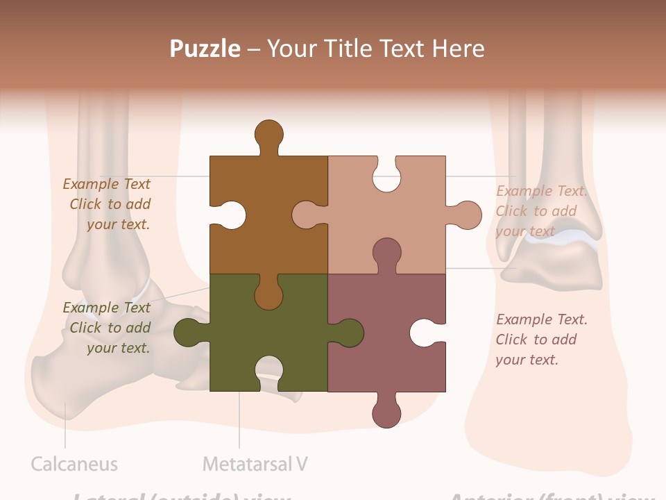 Healthy Anatomical Articular PowerPoint Template