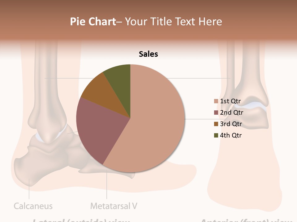 Healthy Anatomical Articular PowerPoint Template