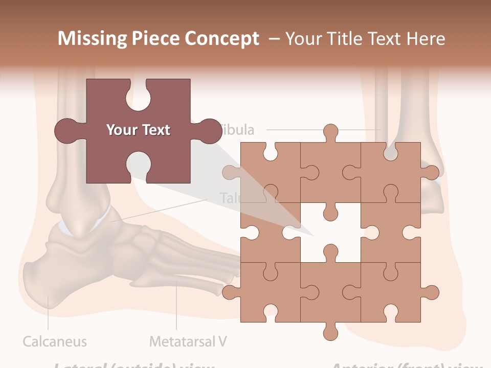 Healthy Anatomical Articular PowerPoint Template