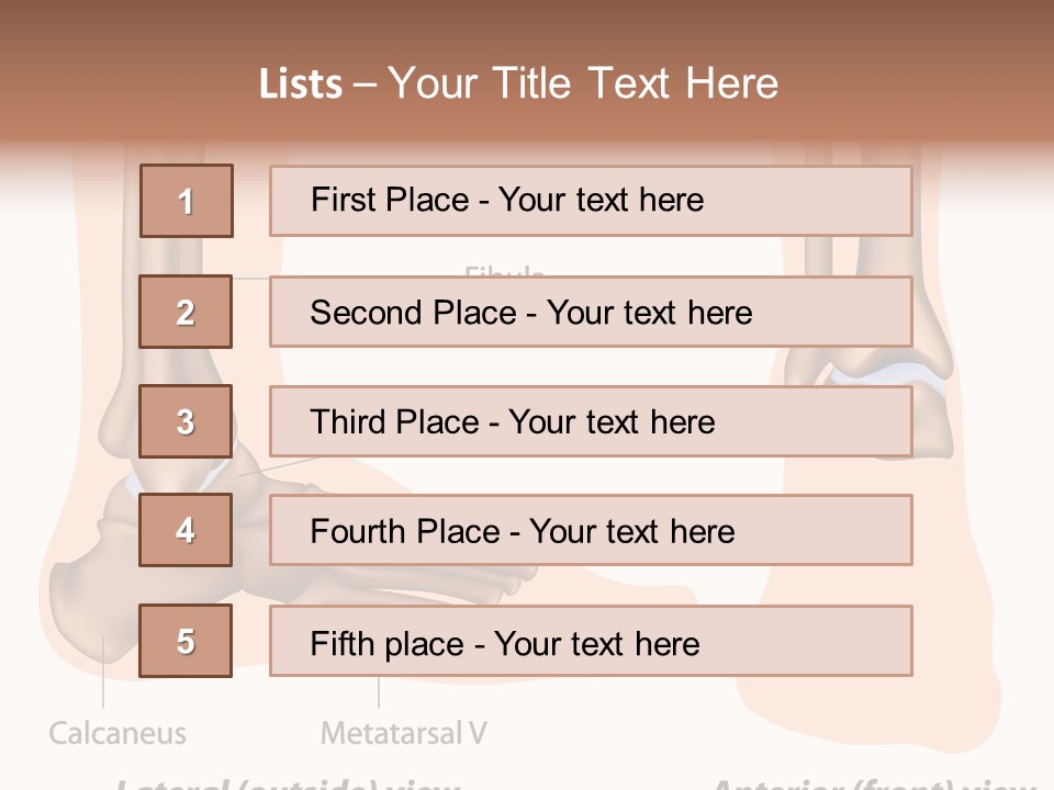 Healthy Anatomical Articular PowerPoint Template