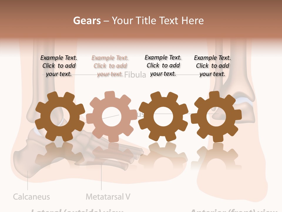 Healthy Anatomical Articular PowerPoint Template