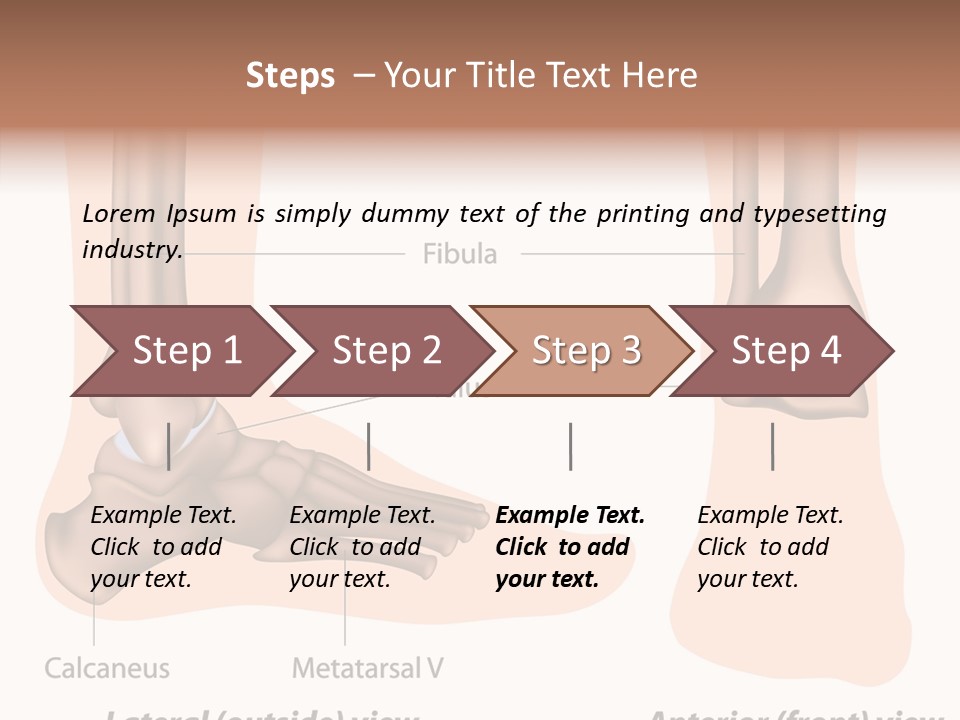 Healthy Anatomical Articular PowerPoint Template