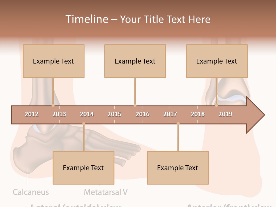 Healthy Anatomical Articular PowerPoint Template