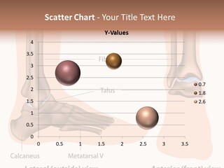 Healthy Anatomical Articular PowerPoint Template