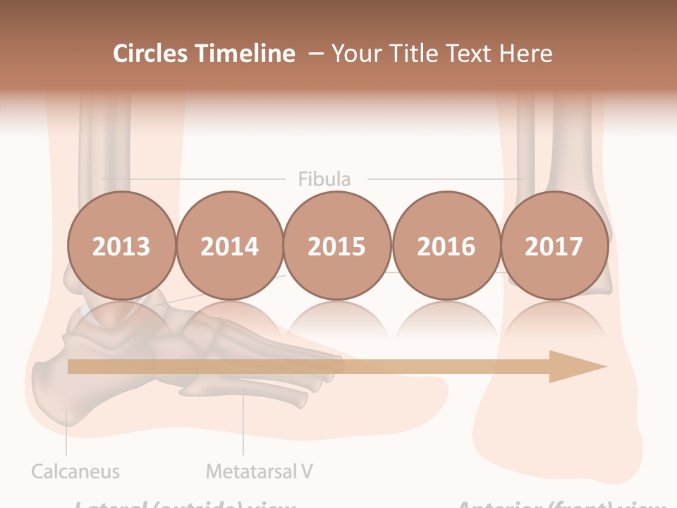 Healthy Anatomical Articular PowerPoint Template