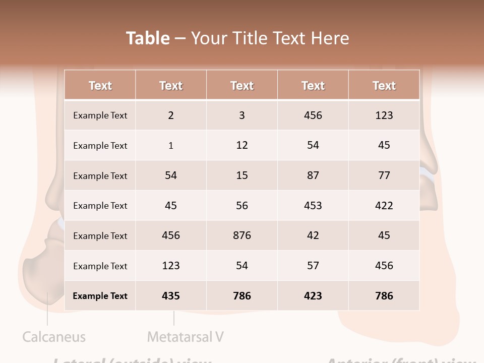 Healthy Anatomical Articular PowerPoint Template