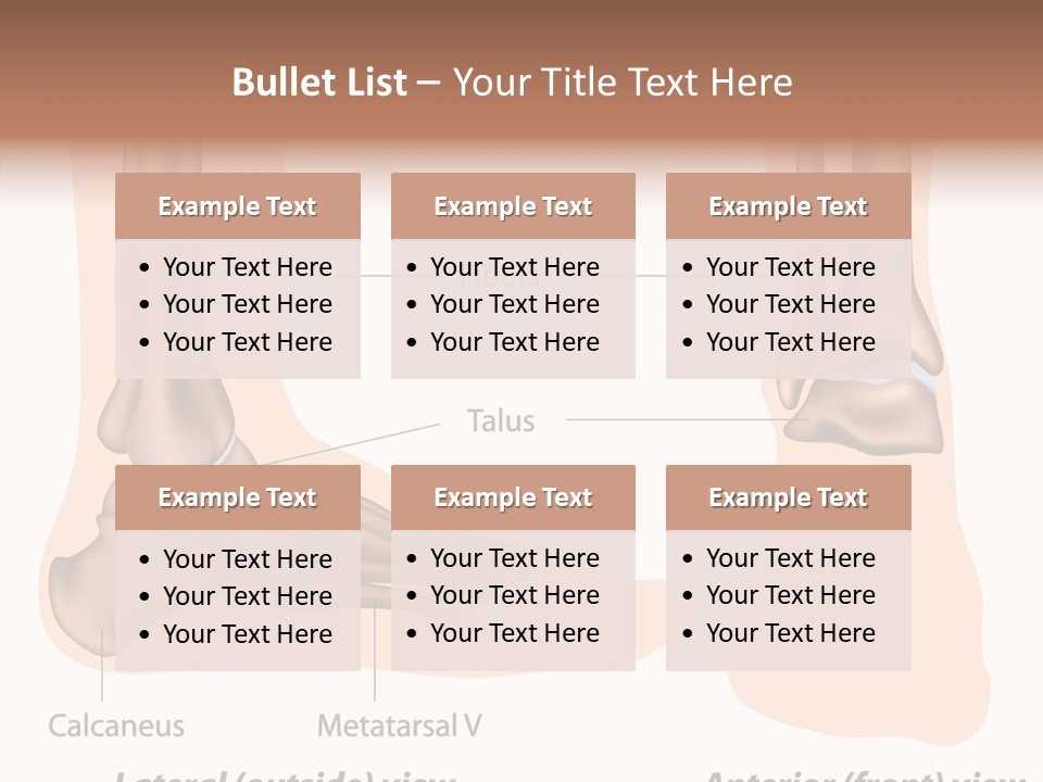 Healthy Anatomical Articular PowerPoint Template