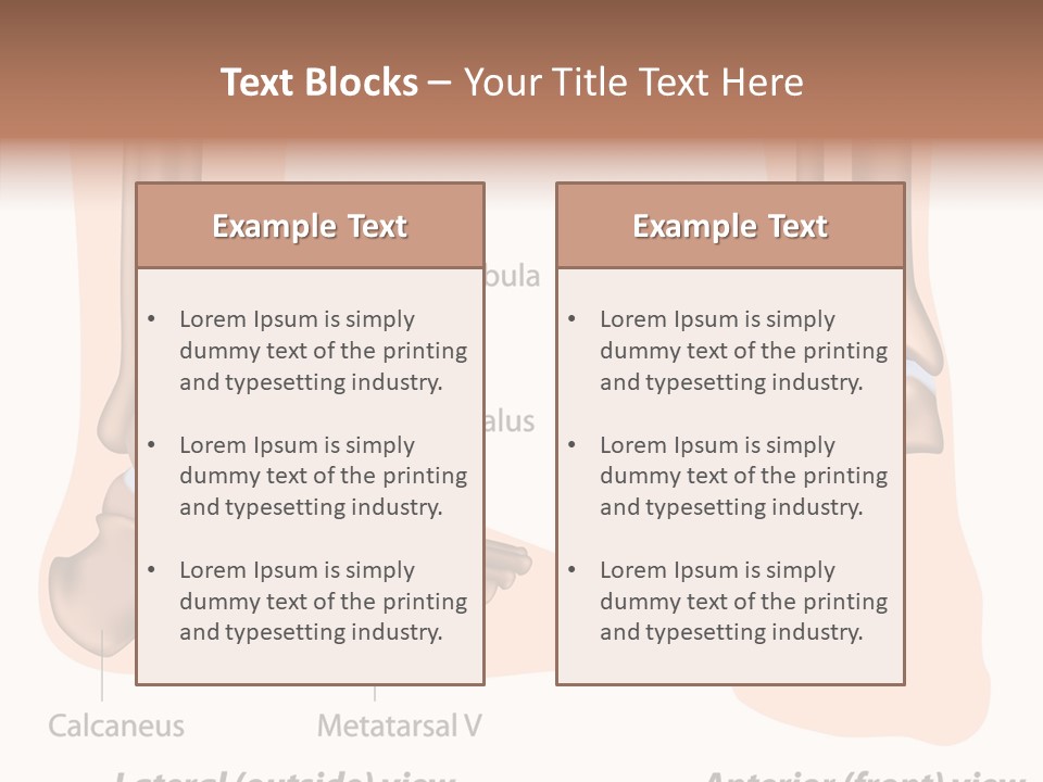 Healthy Anatomical Articular PowerPoint Template
