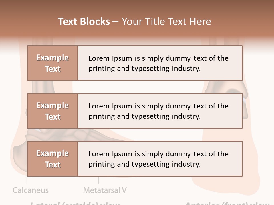 Healthy Anatomical Articular PowerPoint Template