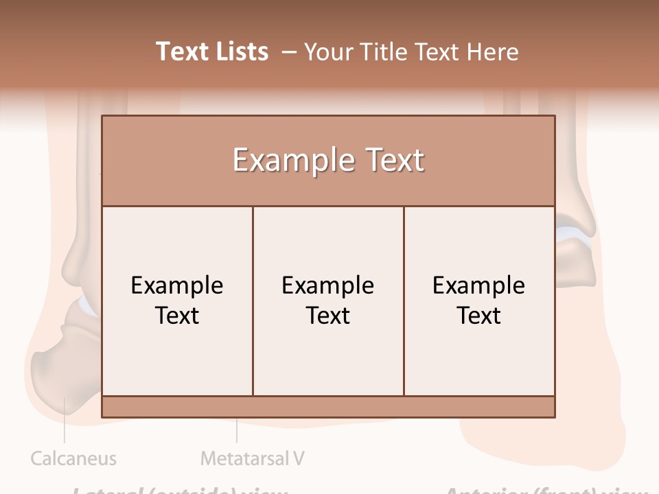 Healthy Anatomical Articular PowerPoint Template