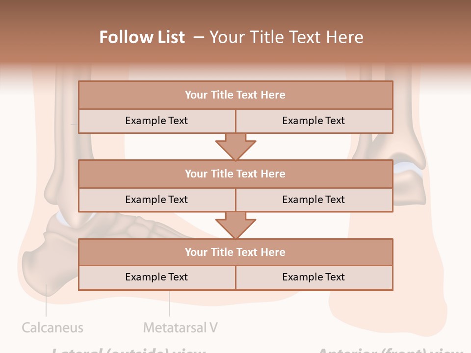 Healthy Anatomical Articular PowerPoint Template