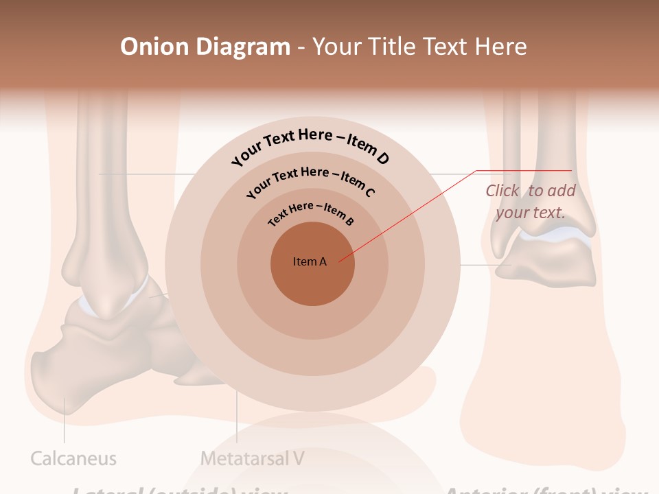 Healthy Anatomical Articular PowerPoint Template